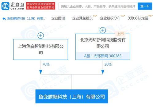 光環(huán)新網(wǎng)斥資億元布局AI 新公司落地，瞄準(zhǔn)基礎(chǔ)軟件賽道