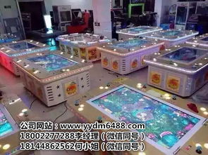 游戲廳電玩游戲機大全——探訪廣州市番禺區東環勇車動漫產品開發部